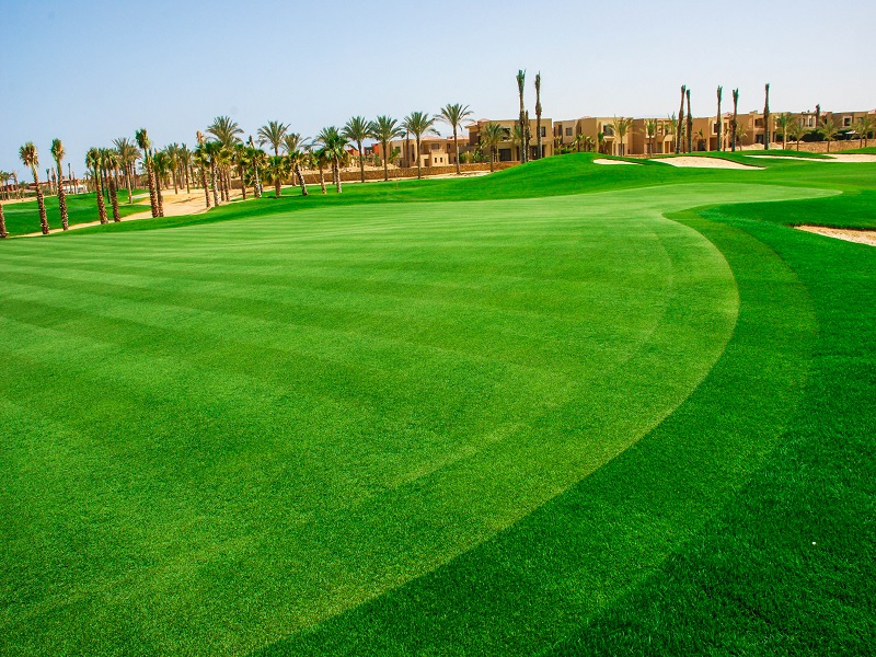 Jaz Little Venice Golf Resort